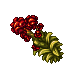 Harvesting 27569